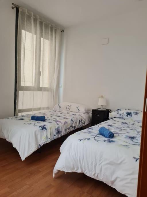 Your Nice Home In Alicante In The Historic Center! لقنت المظهر الخارجي الصورة